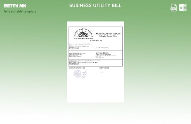 Модерен стил етиопски шаблон за електрична деловна сметка за комунални услуги